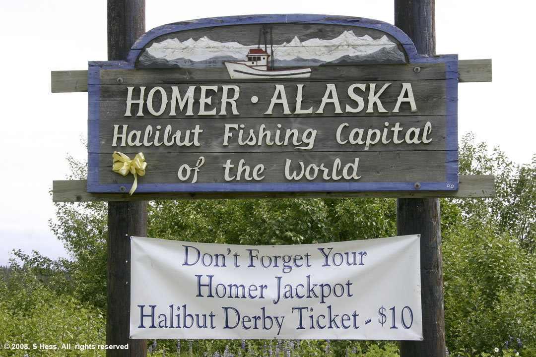 Welcome to Homer
